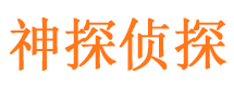 萨迦寻人公司